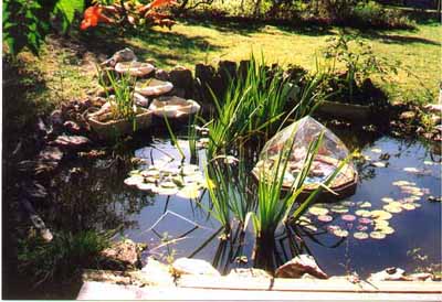bassins d'agr�ment